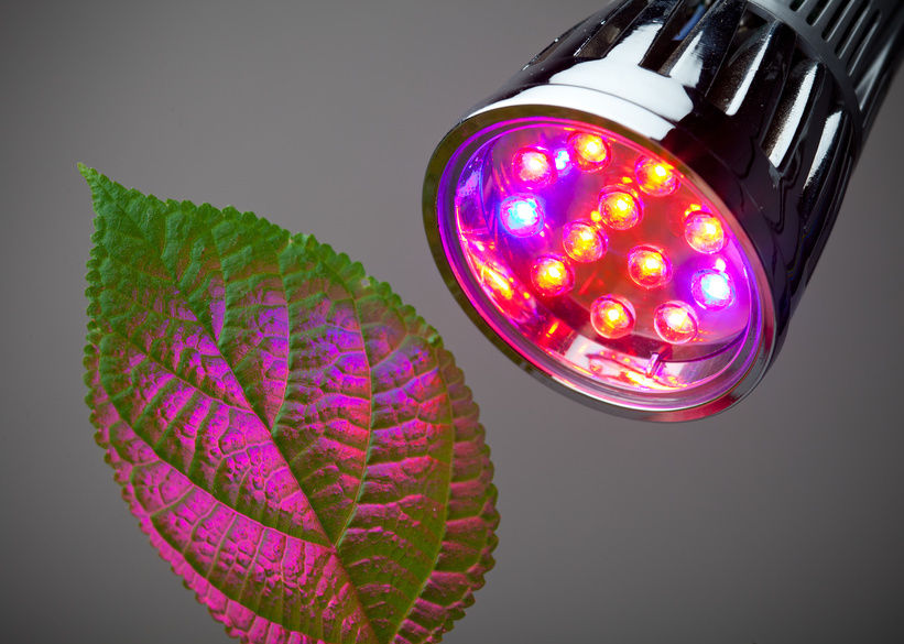 benefícios das lâmpadas de LED
