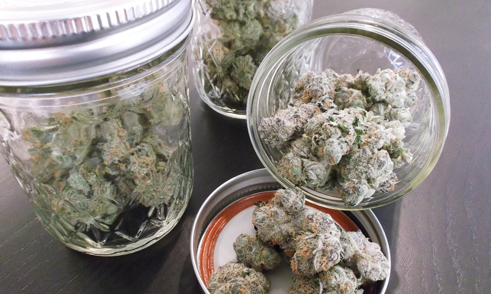 melhorar a qualidade da sua cannabis