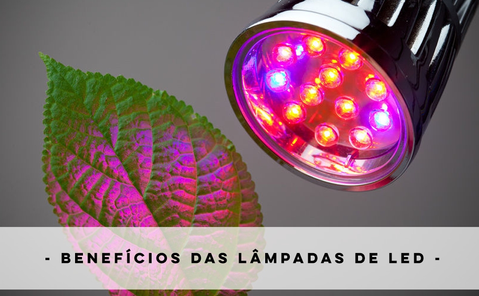 Cultivo Indoor – Benefícios das lâmpadas de LED