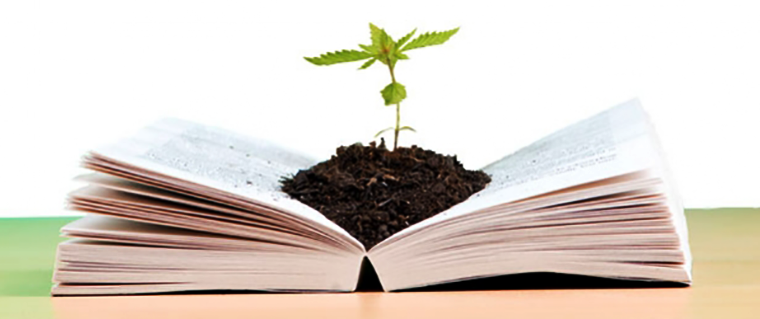 5 Livros sobre cultivo e cuidados com a cannabis